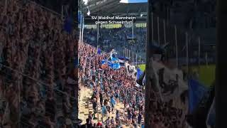 SV Waldhof Mannheim Stimmung gegen Schweinfurt #waldhofmannheim #fans