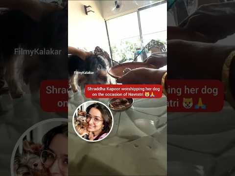 #shraddhakapoor worships and feeds prasad to her fur companion ๐ #filmykalakar