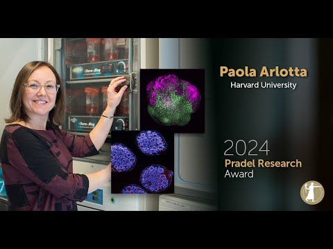 2024 Pradel Research Award