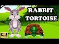 Lessons from the Tortoise and Rabbit