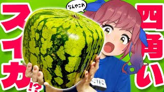 四角いスイカって、どんな味なの？