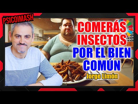 INSECTOS en tu comida: lo que NO te cuentan sobre la nueva ley alimentaria, con Jorge Limón