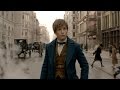 Understanding Mr. Scamander's Journey