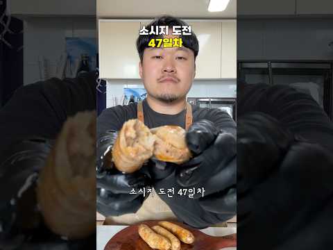 #소시지도전기 47일차