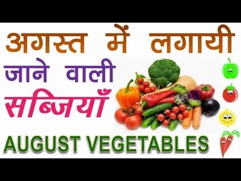 अगस्त में उगाई जाने वाली सब्जियाँ  Grow Monsoon Vegetables In August Monsoon Special 🥦🍅🥕