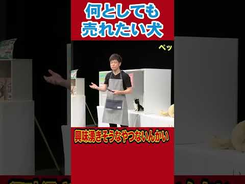 売れそうなキャッチフレーズを考えた犬#陣内智則 #ネタジン #ペットショップ #shorts