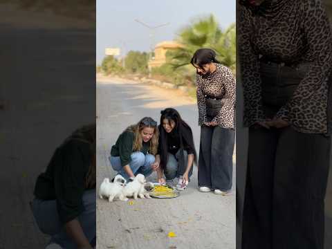 جتلكم بفكره جديده ( تحت الصفر )