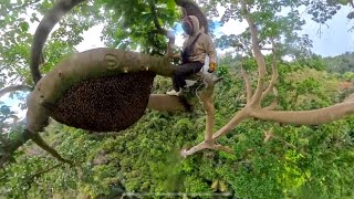 Adventure team Off road car វគ្គបញ្ចប់ដំណើរកំសាន្ត ក្រវាញ់ ខេត្តពោធិ៍សាត់ យកឃ្មូំ