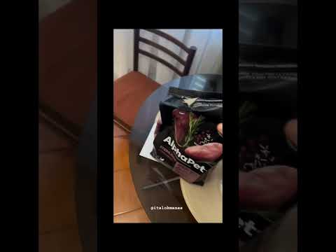 #cat #catvideos #catmemes #catlovers #funny #comedy #memes #viral #shorts