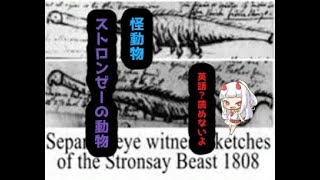 謎すぎる怪動物　ストロンゼーの動物