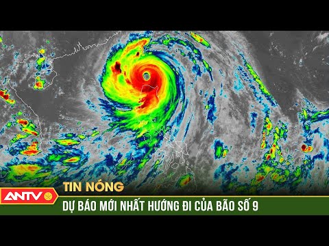 Siêu bão số 9 Ragasa giật trên cấp 17, dự báo vùng chịu ảnh hưởng mạnh | ANTV