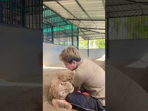 แม่หนิงก็คิดถึงพงษ์เหมือนกัน หอมกันใหญ่เลย