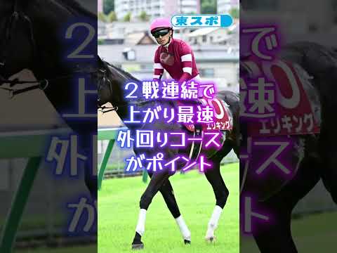 【やっぱり当たる新理論・三柱馬券=菊花賞編】