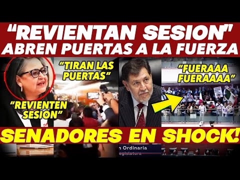 DAN PORTAZO ¡GENTE DE PIÑA REVIENTA SESION! SENADOR NOROÑA FRENA DE ULTIMO MOMENTO TODO! REFORMA