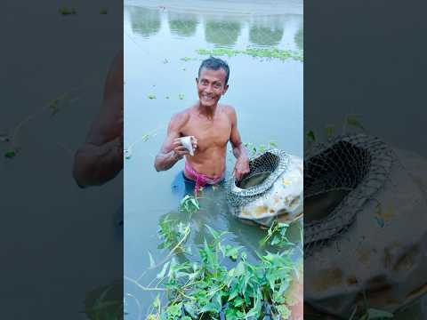 এগুলো কি মাছ🤪#village #funny #viralvideo #food #fish #fishing