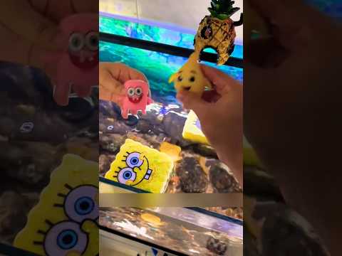 🌊 ¡Mis Bebés del Mar! 🐚 Todos Diferentes y Súper Tiernos 💙