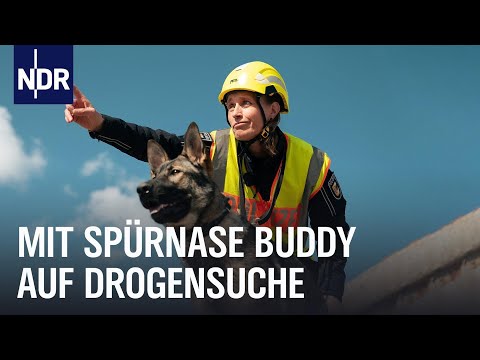 Die Spürhunde der Polizei Stralsund | Die Nordreportage | NDR Doku