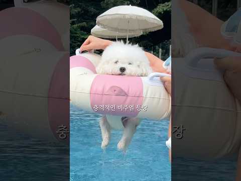 휴가가서 아이폰 물에 빠뜨리고 얻은 영상ㅜㅜ;;