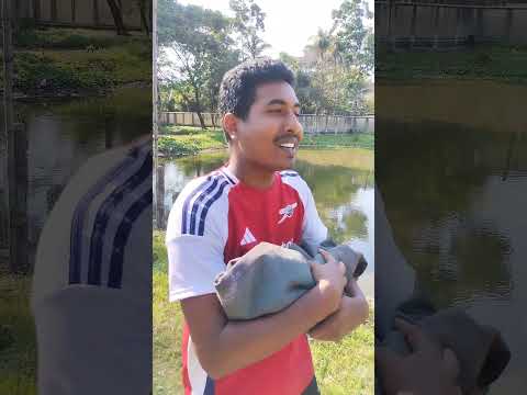 শিশু হত্যা মহাপাপ 😂 #foryou #subscribers #trending #viralshort