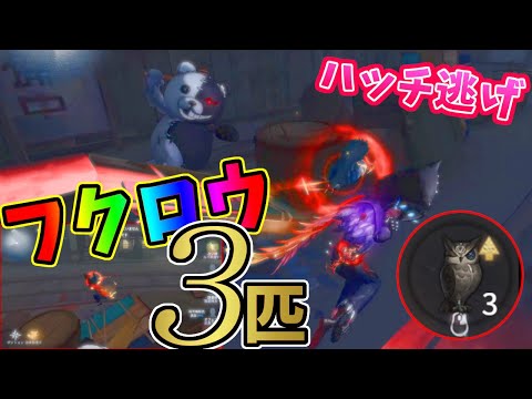 【第五人格】スーパーチェイス？苦手なボンボン相手にフクロウ３匹溜めて大勝利！【IdentityⅤ】