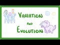 Exploring Evolution: Natural Selection and Variation