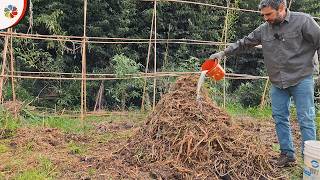 Comienzo un ABONO tipo Bocashi para la MINI GRANJA 👨‍🌾