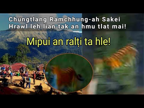 Chungtlang khaw ramchhung-ah keipui hrawl leh lian tak an hmu tlat mai! Mipui an ralṭi ṭan hle!