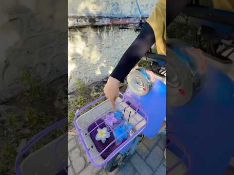 Perkara jepit Kamboja #shortvideo