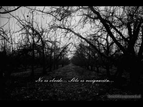 Eternal Beauty Of The Trees de Uaral Letra y Video