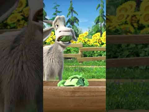 #shorts #<strong>마샤와곰</strong> #mashaandthebear #수프 대작전  #kids #cartoon #kidscartoons