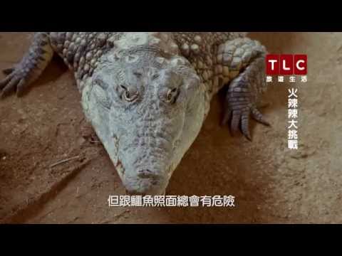 《火辣辣大挑戰》 02鱷魚咖哩
