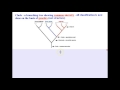 Biological Classification and Cladistics
