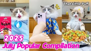 July Popular Compilation 2025 | That Little Puff