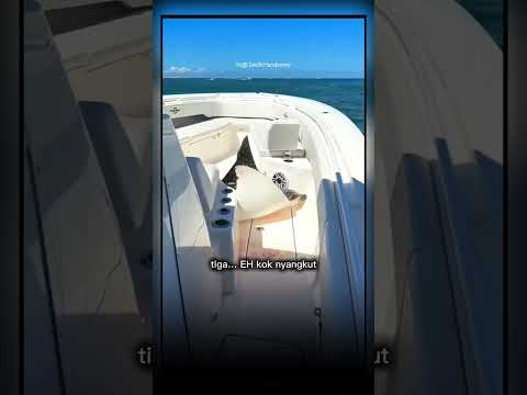 ikan ini mau lompat ke laut lagi #shorts #short