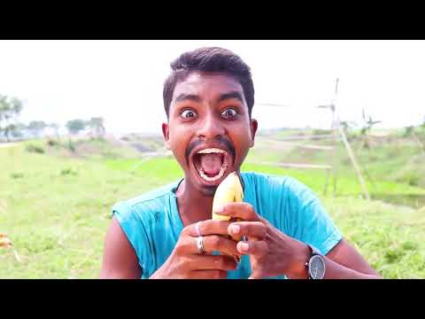 Must Watch New Funny Video New Comedy Video 2021Try To Not Laugh Epi 11 By Binodon Fun Joke