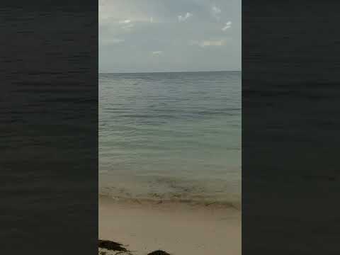 beautiful sunset amazing watch to the end ????????