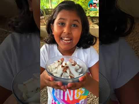 Easy To Take Coconut Flakes | Simple way | Easy for All |ഈസിയായ് ഇനി തേങ്ങാകൊത്തെടുക്കാം |?