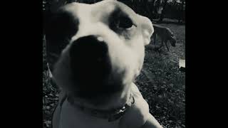 NEWGIRL (prod. Michealharrison)