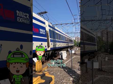 カルピス電車を見る！