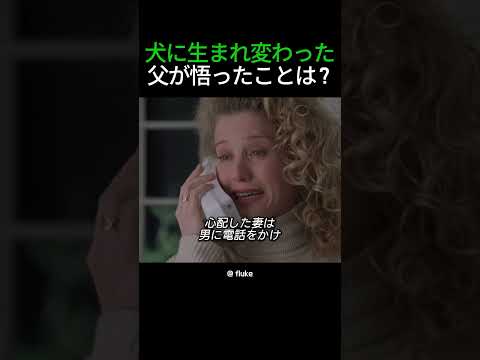 犬に生まれ変わった父が悟ったことは？