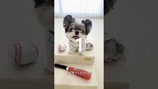 動画サムネイル