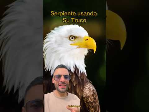Está Serpiente Usa su “Poder” para Sobrevivir 🤯🐍‼️