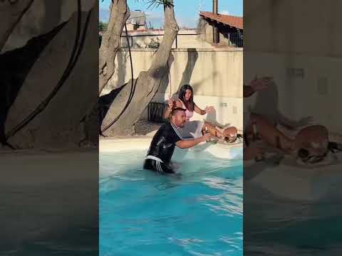 🤣🍺😂🚙 #funny #reels #comedy #pool #beer  #couple #couplecomedy