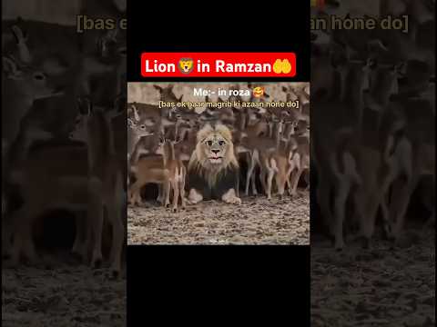 Lion in Ramzan #islamic #roza #shorts #funny