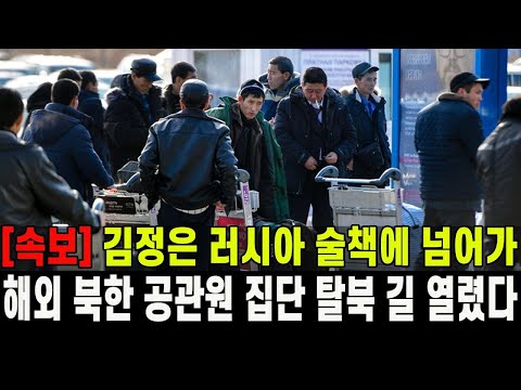 [속보] 러시아에서 집단탈북 문 열렸다... 김정은, 푸틴에 농락 당했다