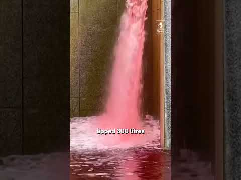 US Embassy pond turns blood red