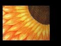 Caged Bird Symbolism and Struggles
