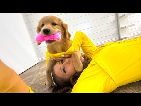 Making My Puppy A Yellow Dress