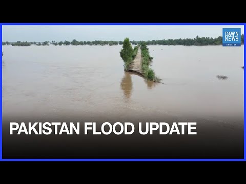 YouTube video thumbnail: Pakistan Floods: Guddu, Sukkur Barrages in High Flood as Sindh, Punjab Dispute Data