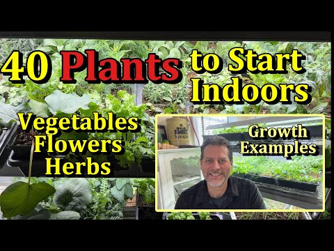 40 Examples of Garden Plants You Can Start Indoors February/March (Vegetables, Herbs & Flowers)